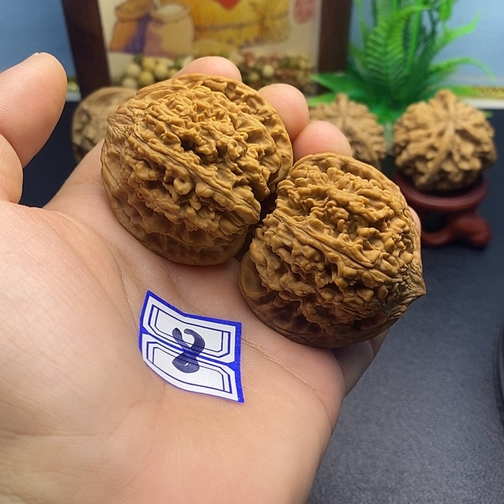 文玩核桃把件44满天星