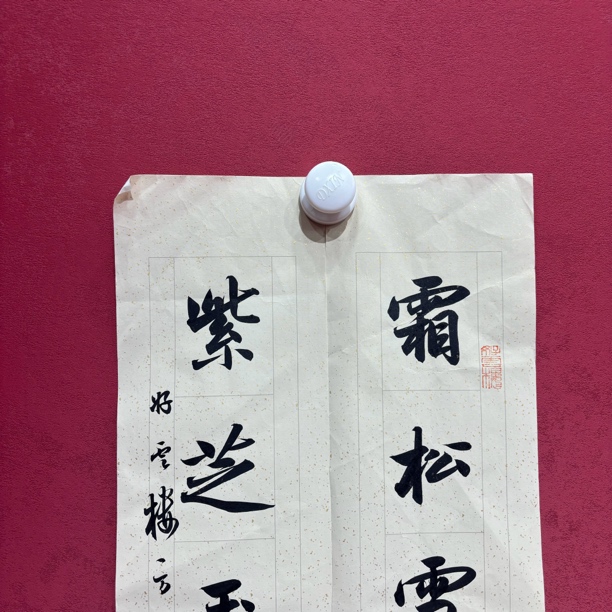 名家精品作品111