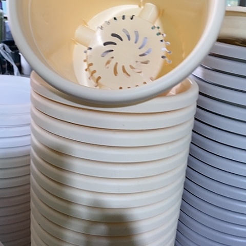 树脂四季4号米黄无托6个