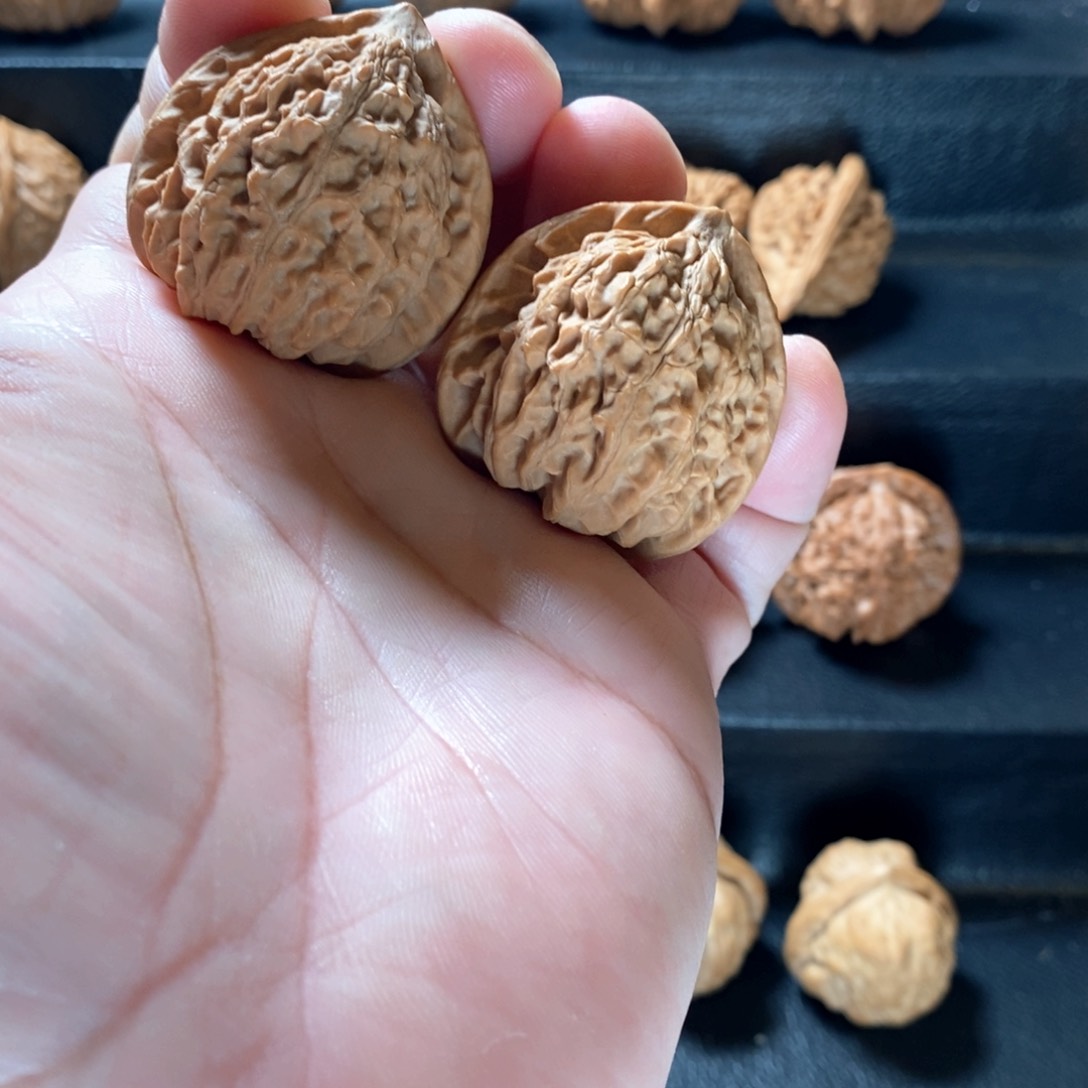 桃核把件野生原树峡云岭38