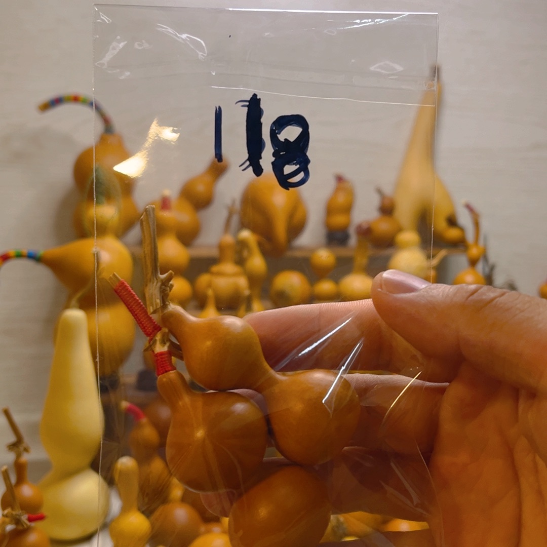 木葫芦等经济林木的生长和繁殖规律研究工作中具有