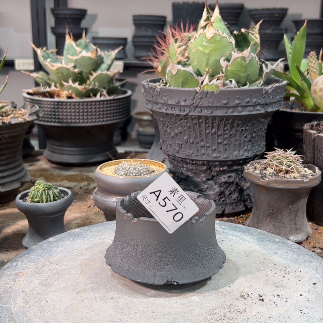 景德镇素里手工内口7.5改6瑕疵