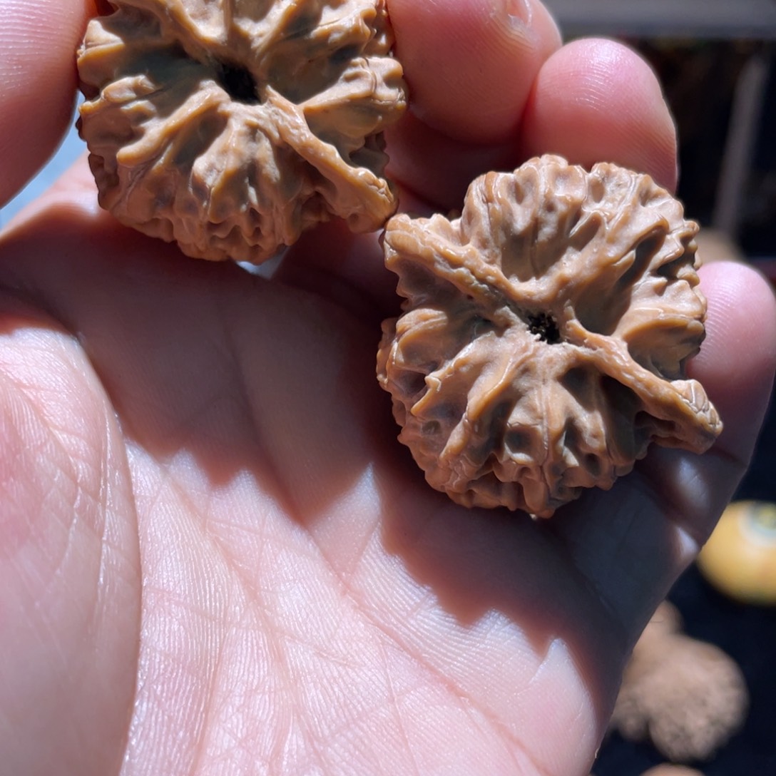 把件文玩核桃38尺邢台苹果园十字底