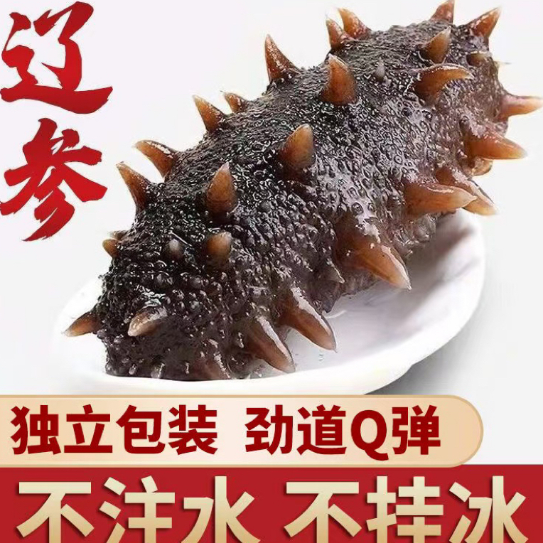 （钊哥专属）大连底播即使海参9-12头（顺丰冷链发货）
