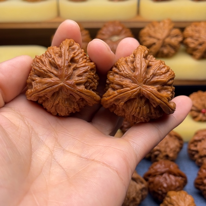 核桃42白狮子正奔三棱