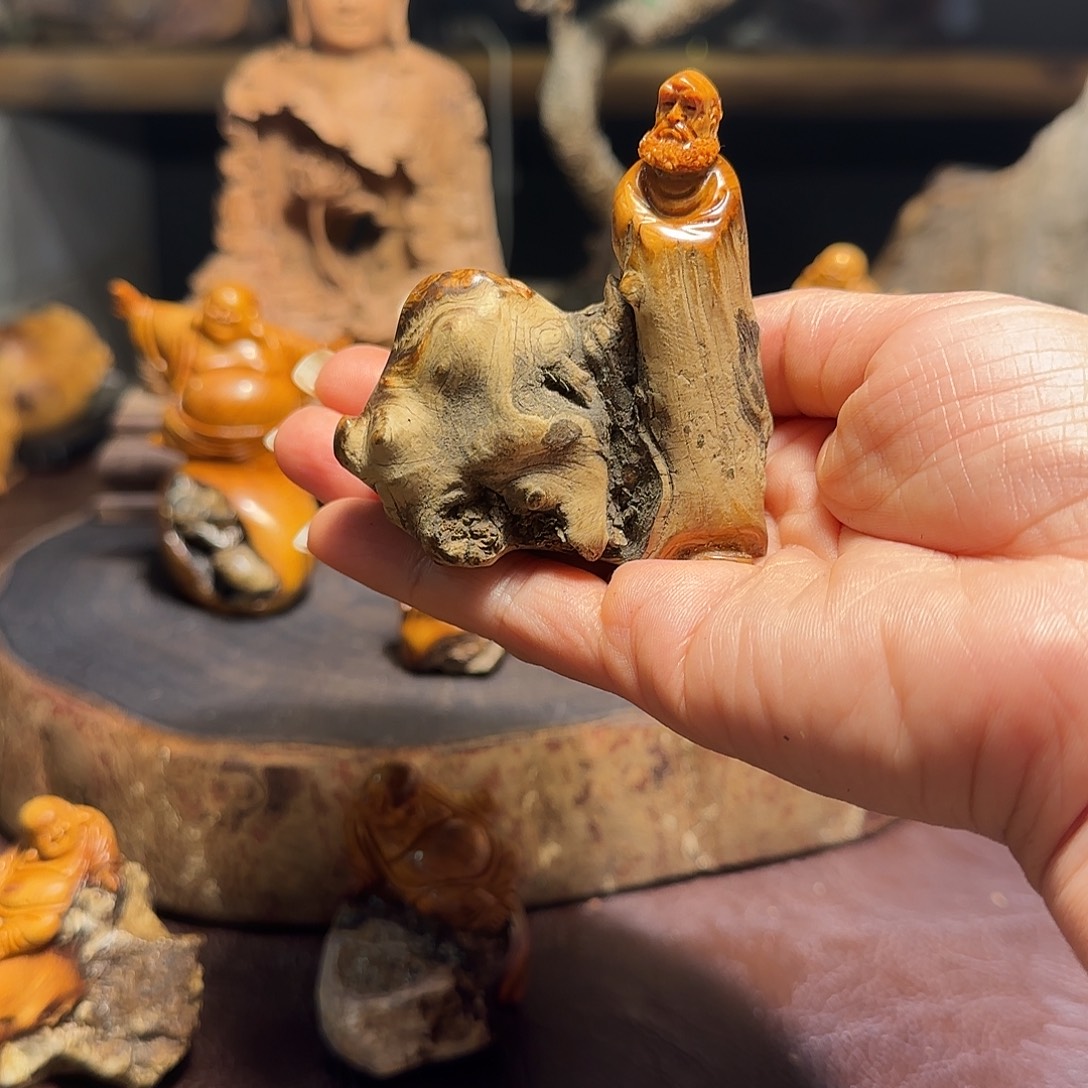 柏木（崖柏）太行天下