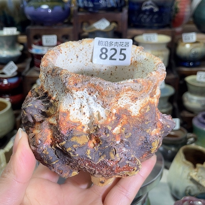 红陶内口径7高度8