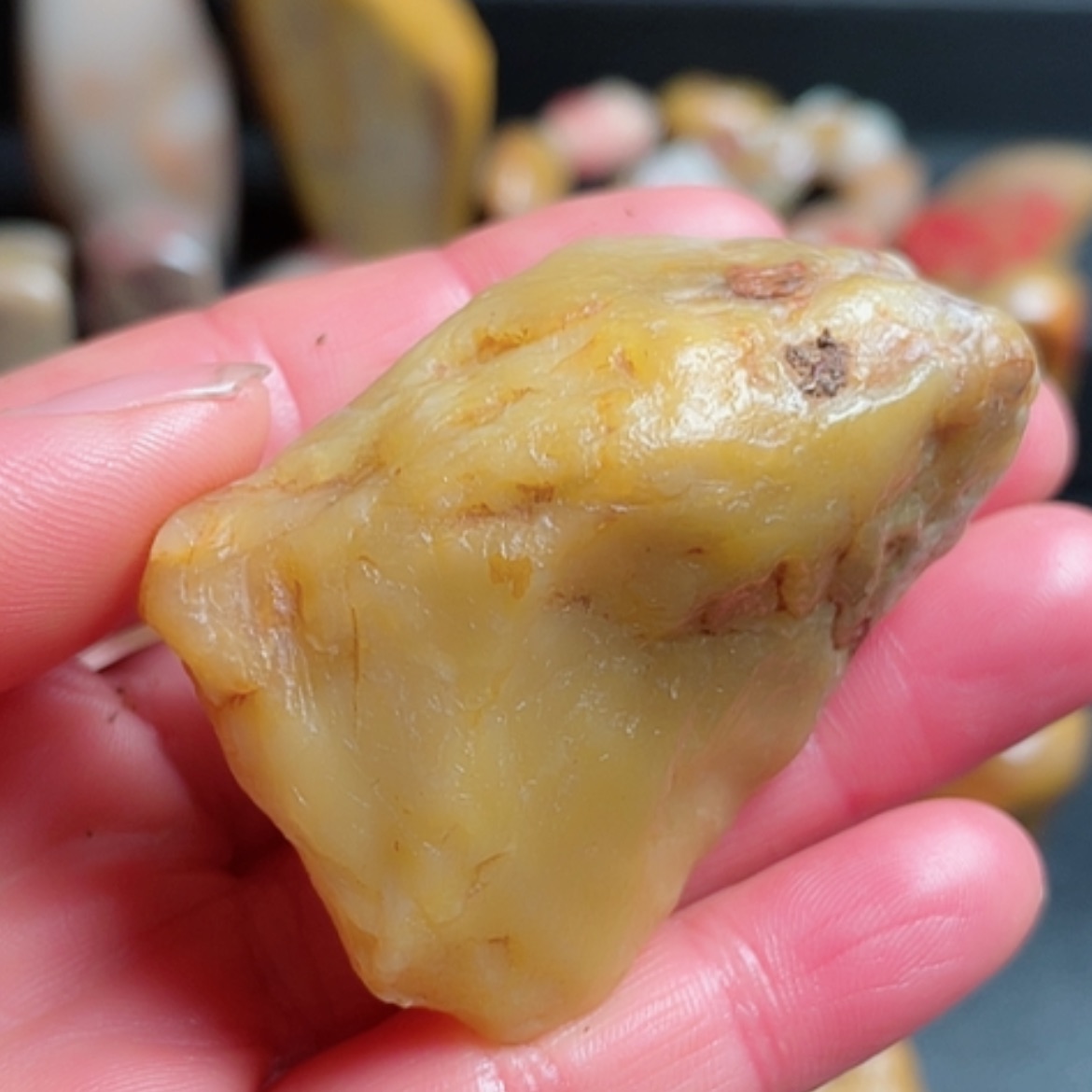 【闪购商品】昌化石三**尺昌化田黄石