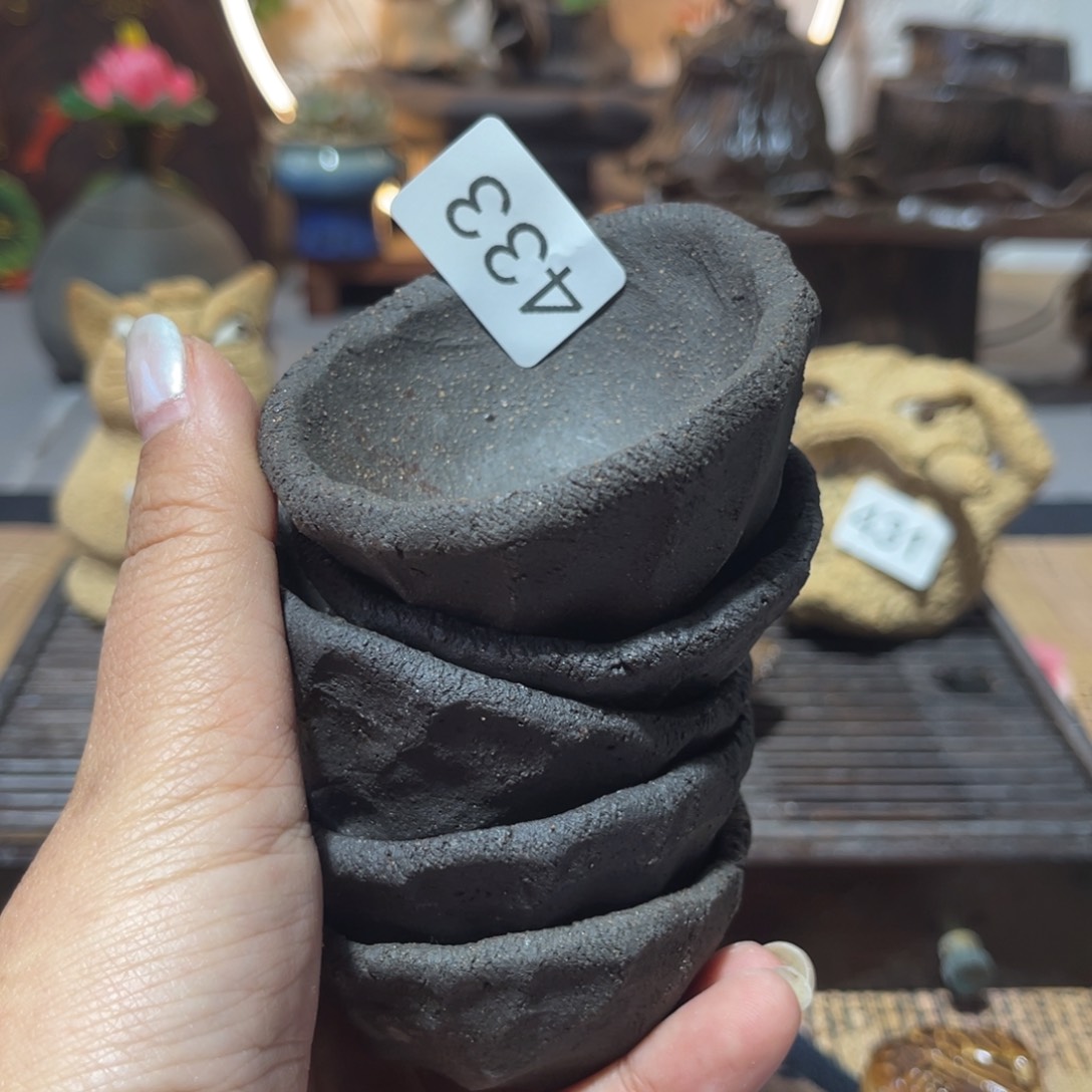 木村信弘柴烧保平