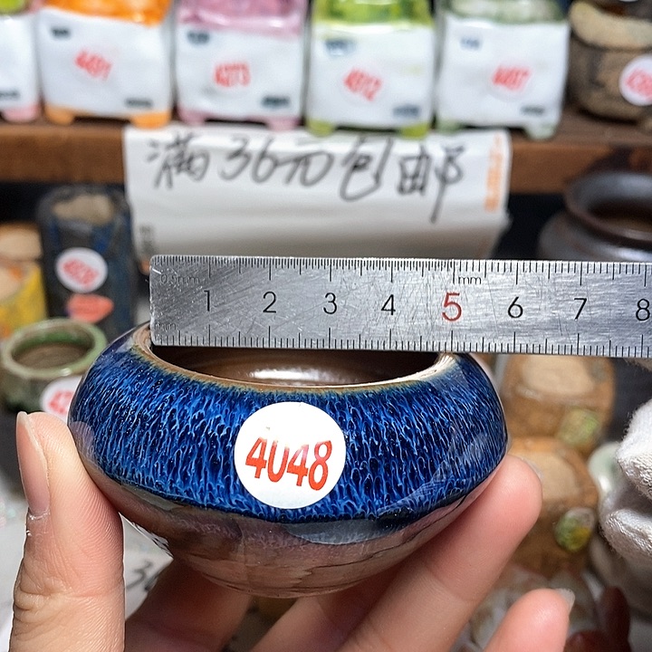 红陶拍5送一个小