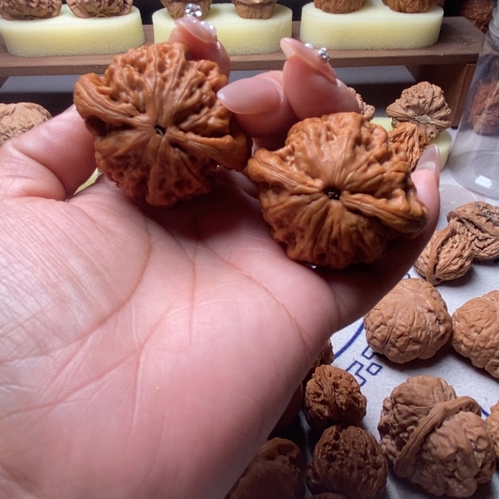 河***房大叶紫檀（黑酸枝木类）文玩核桃金公子