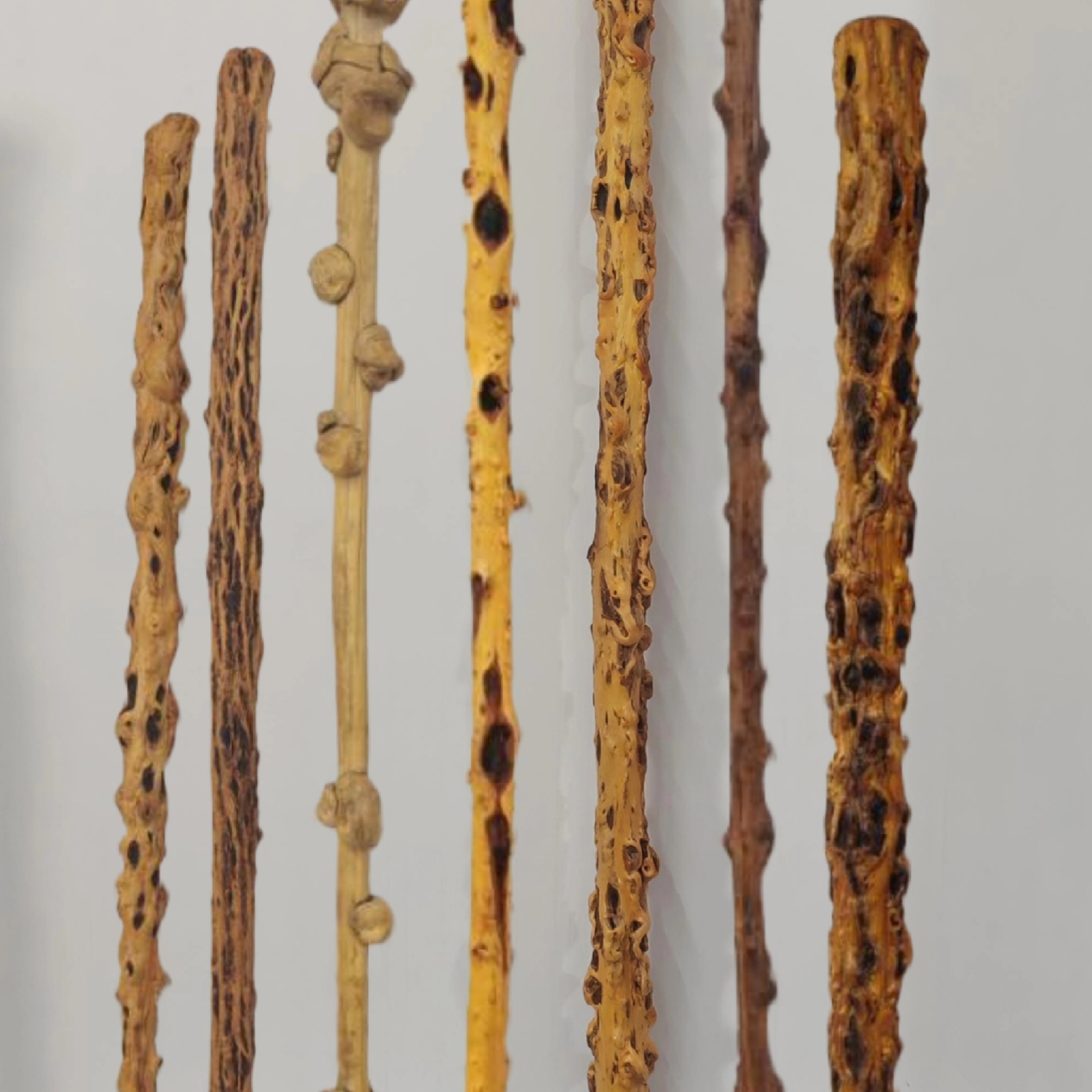 【舍利降龙木】招财、好运、送福