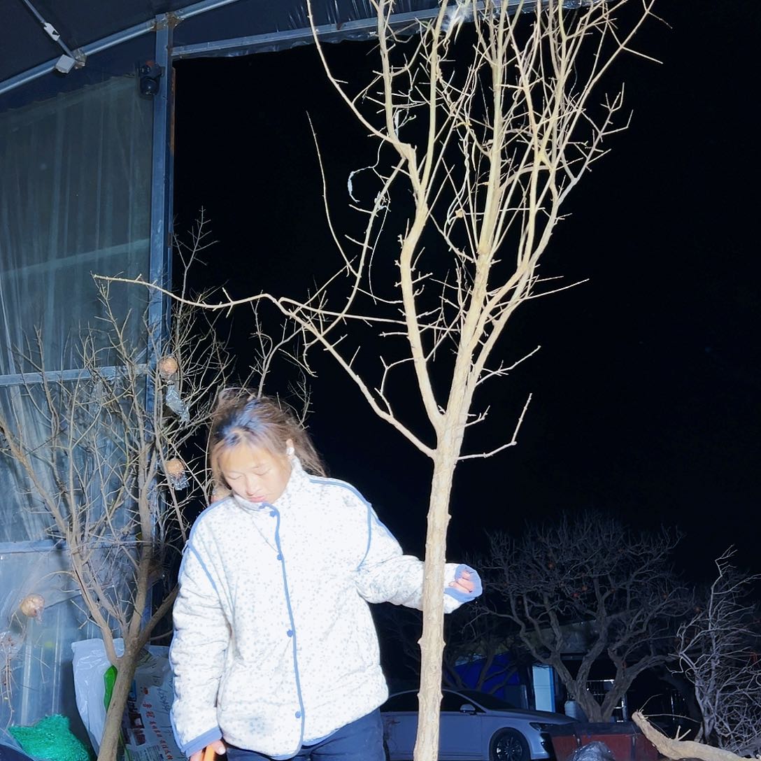 无花朵健健康康快快乐乐