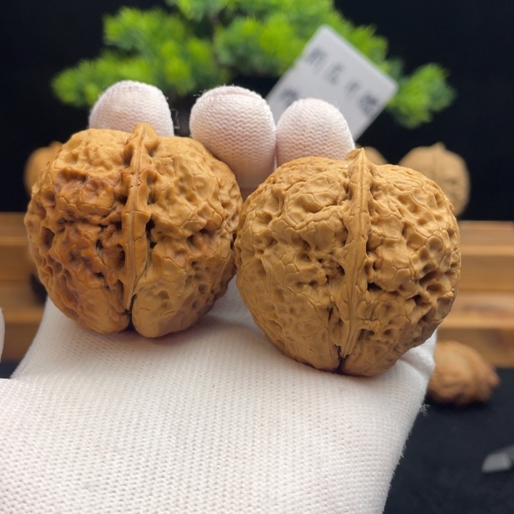 文玩核桃把件核桃7-22