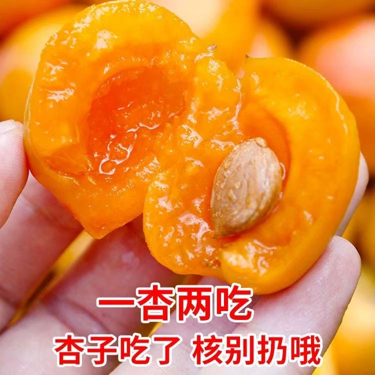 C【次日达】头茬新疆吊干杏 一杏两吃原箱发货净重3斤新鲜现摘新疆维吾尔自治区