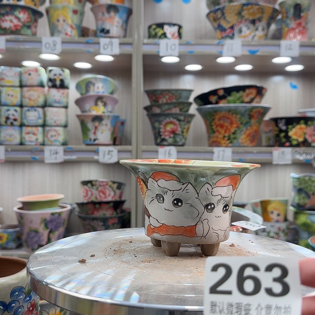 陶其他瑕疵瑕疵263