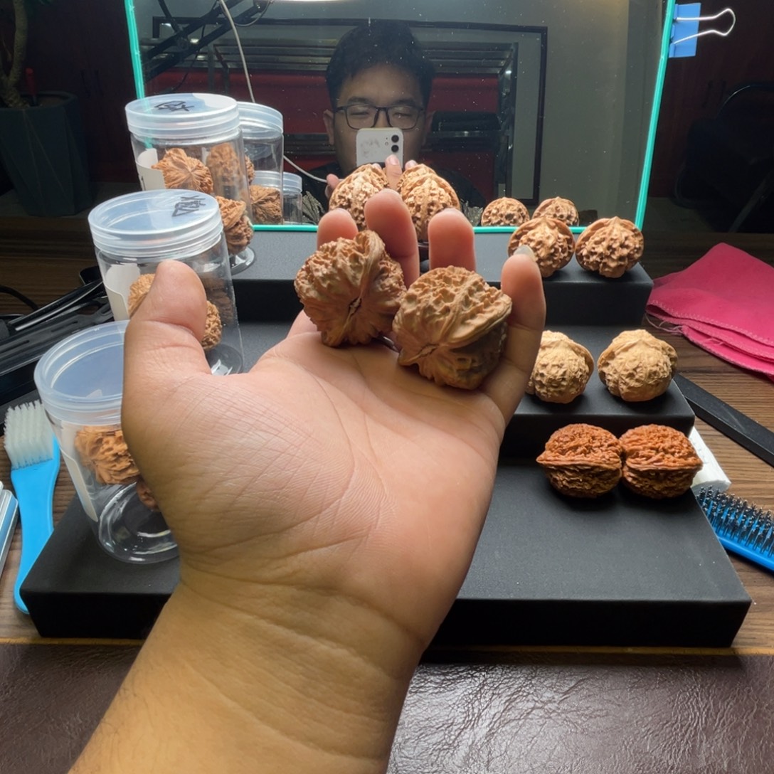 ****！全品无修三角白43尺