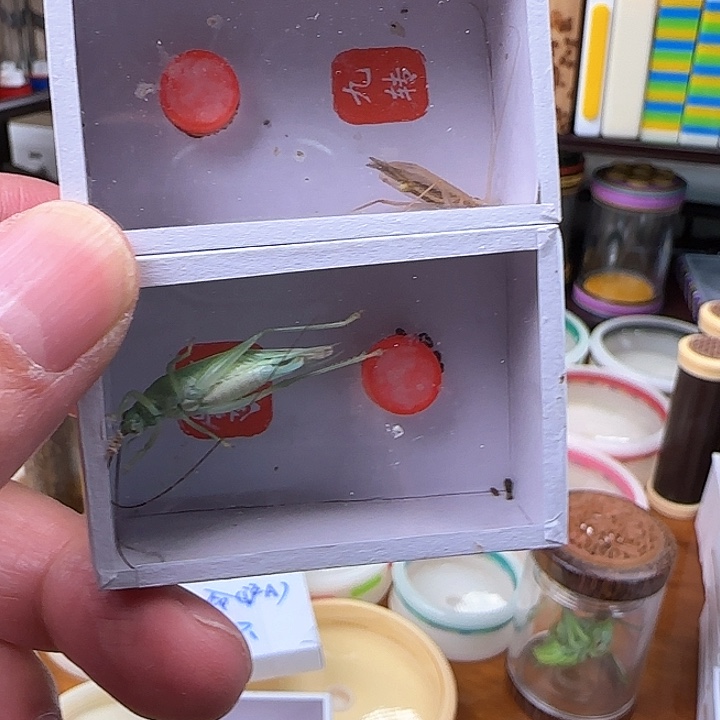 是我的心太小太大