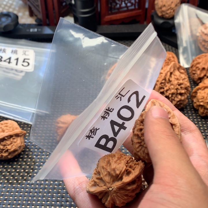 文玩核桃吊坠鸭嘴兽