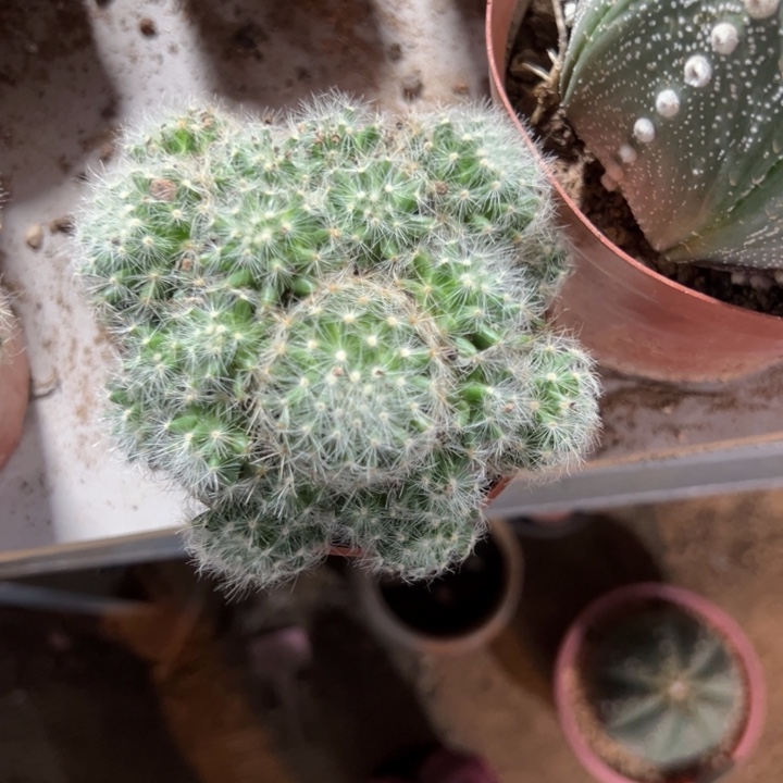 用***5恭喜发财恭喜发财