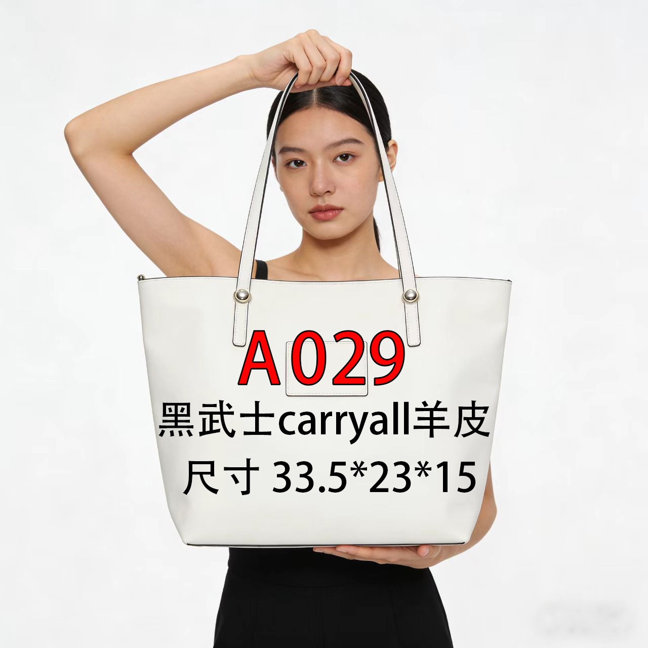 A029适用于黑武士carryall33cm的内胆单肩包