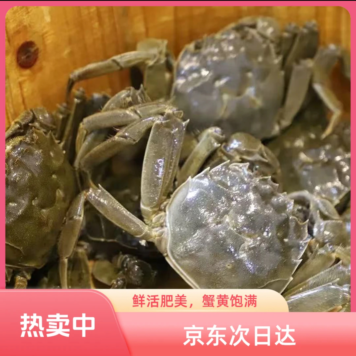 【活蟹】盘锦河蟹 全母蟹 1-1.3两/只 20只 京东次日达