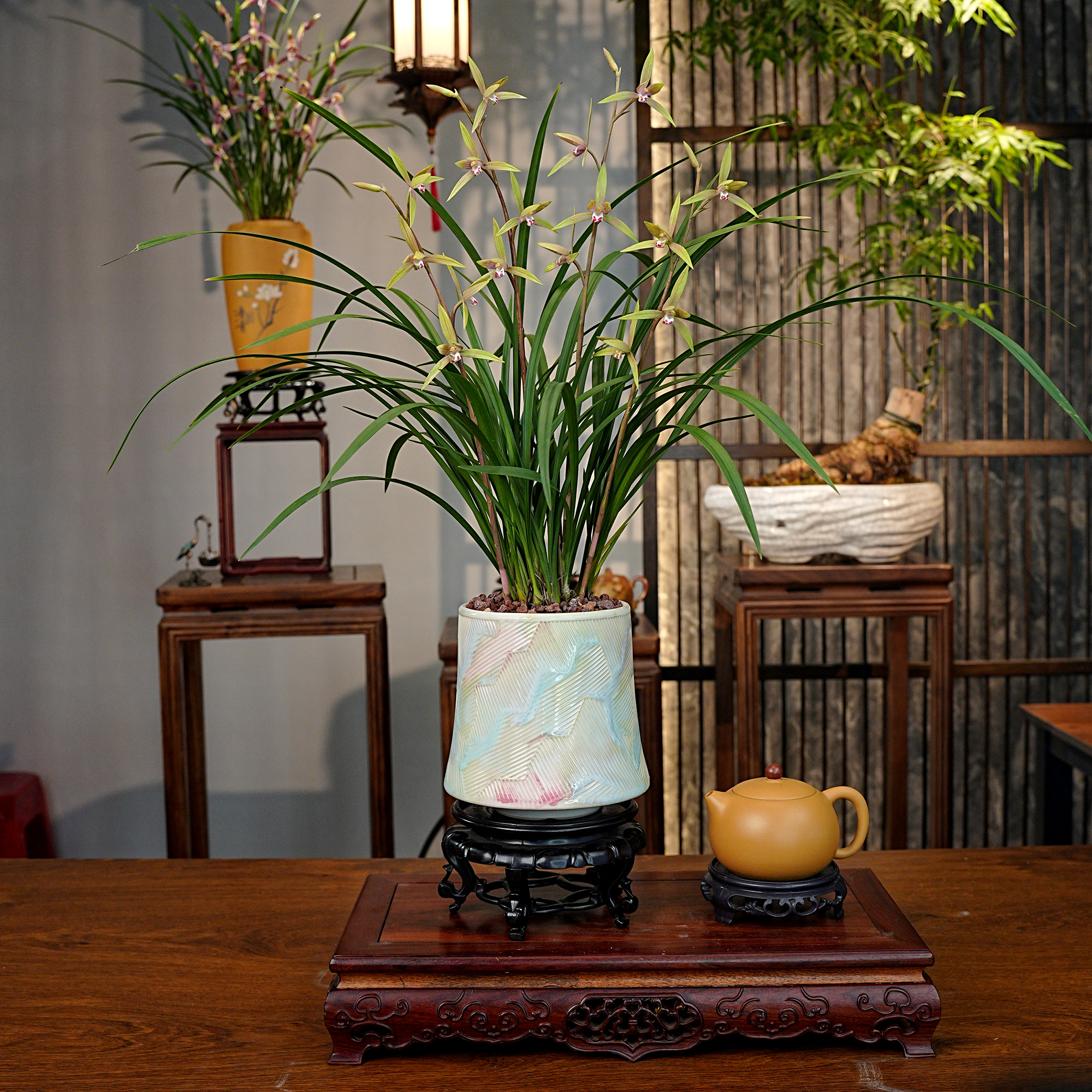 寒兰铭品【仙山绿莺】 带花剑 浓香型兰 花景德镇彩虹罐 室内好养