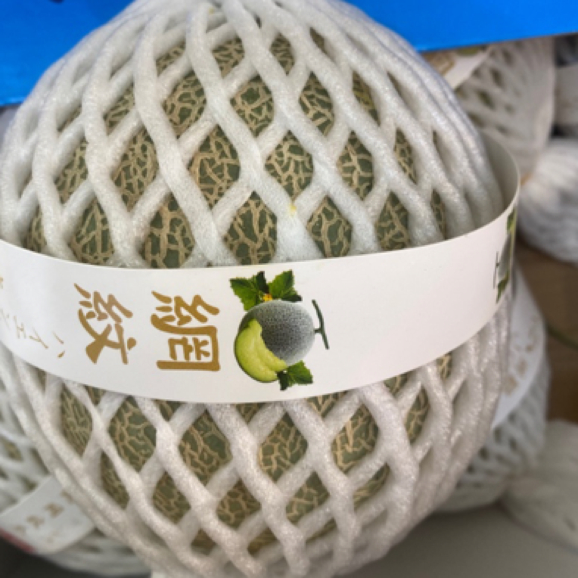 可可蜜网纹瓜