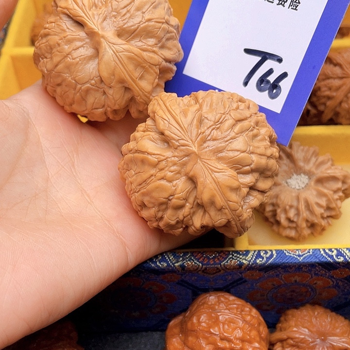 把件文玩核桃刘*文玩核桃龙鼎66