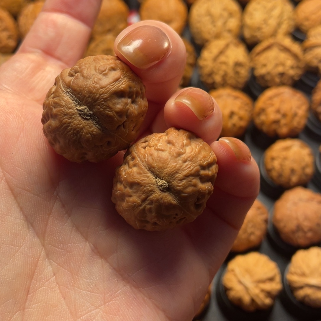 日***鸟把件文玩核桃核桃