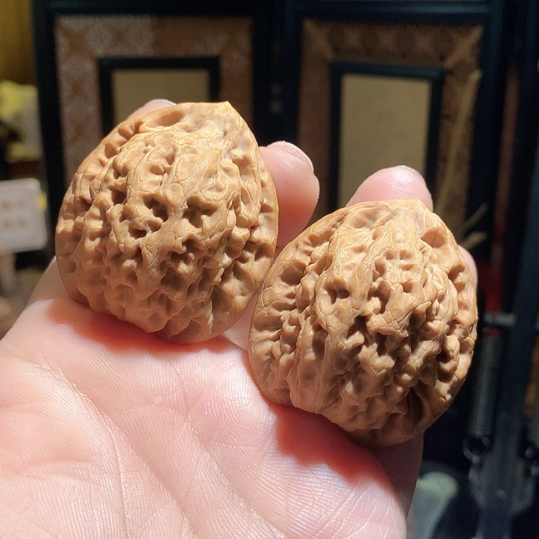 文玩核桃把件42金公子