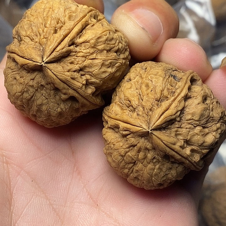 文玩核桃把件云南铁核桃33