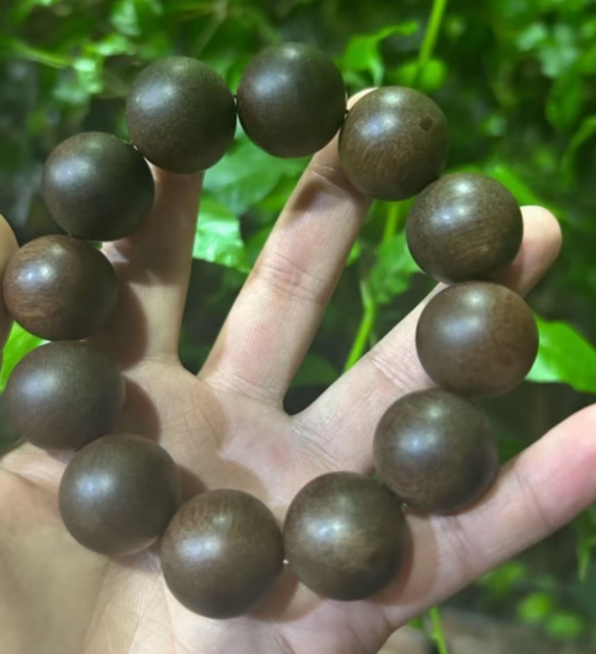 富【现收好物】56g   可搭配枸杞