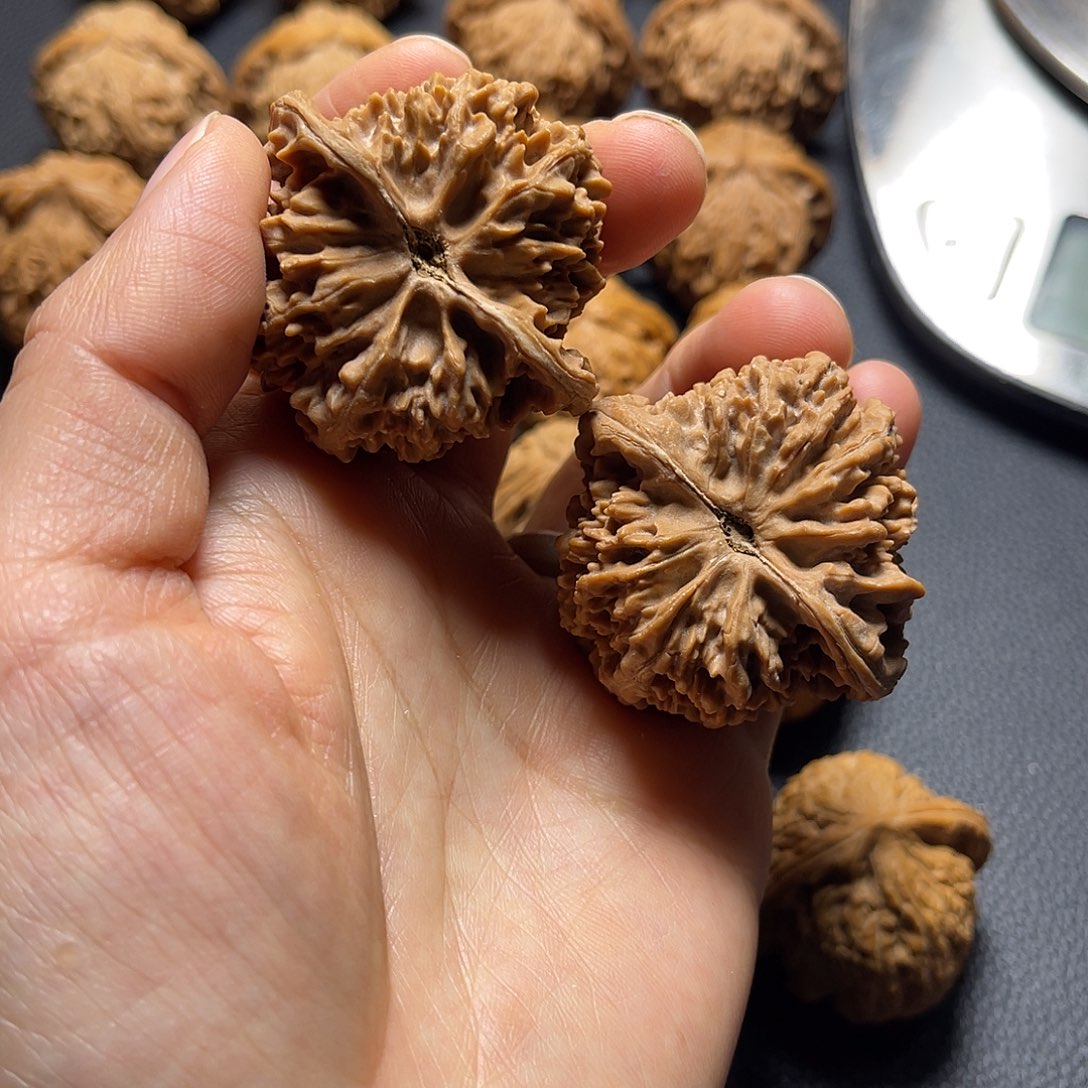 桃核把件全品满天星边44本长