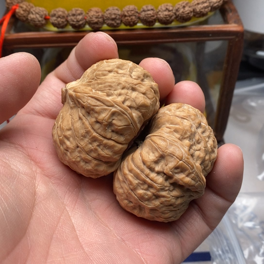 核桃把件鼻****边四二左右逢源