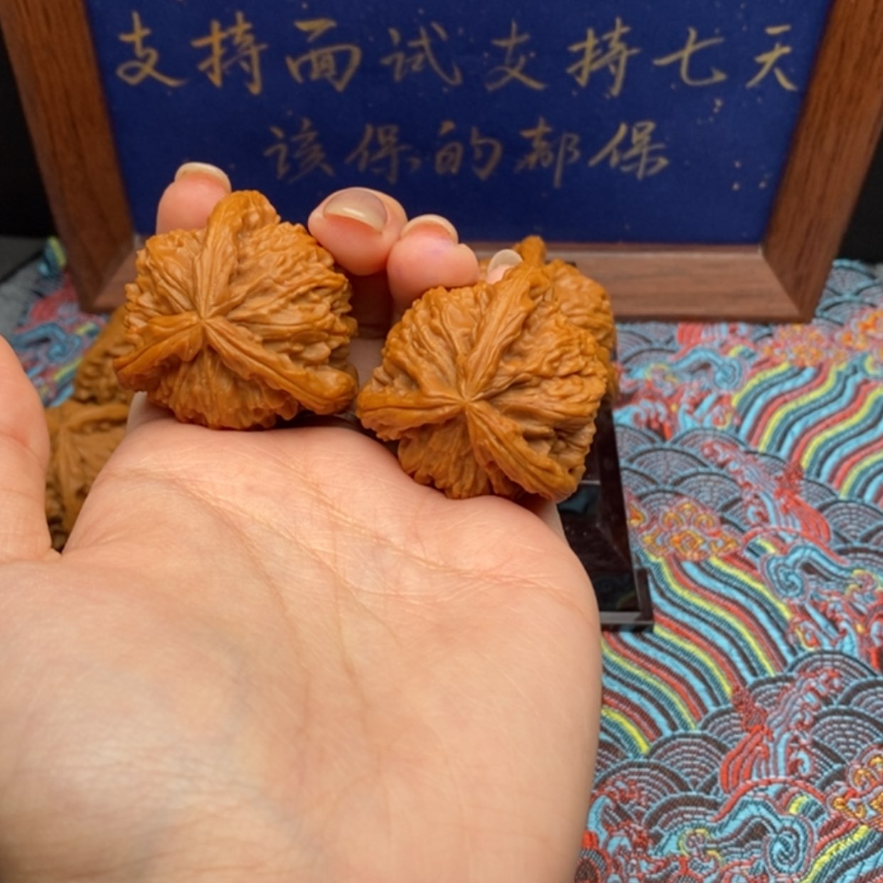 【闪购商品】动**次白狮