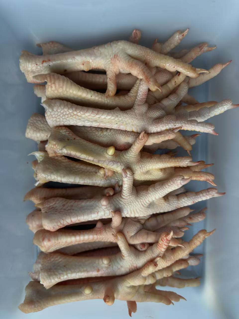 顺丰包邮新鲜大号农家散养土鸡爪