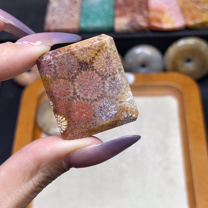 未镶嵌吊坠硅化珊瑚（珊瑚玉）