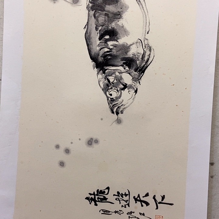 国画刚*✔水墨丹青花鸟金龙