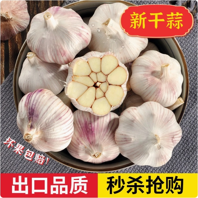 2025新紫白皮干蒜大蒜头农家自种辛辣提香炒菜泡蒜腌糖醋蒜腊八蒜