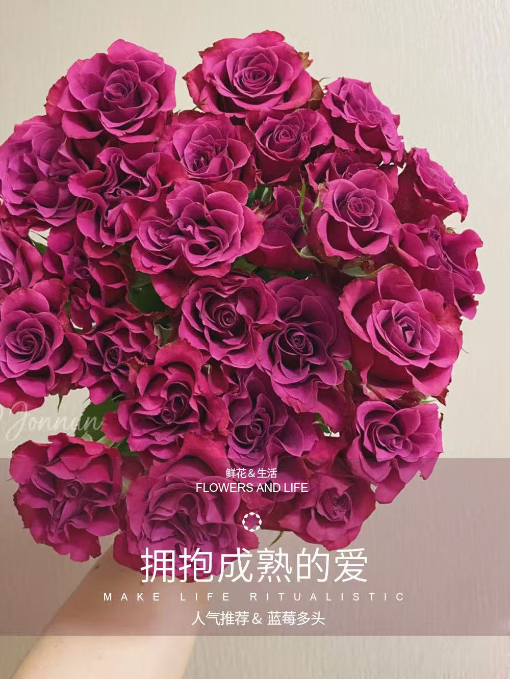 卓拉鲜花-蓝莓多头玫瑰水养家用