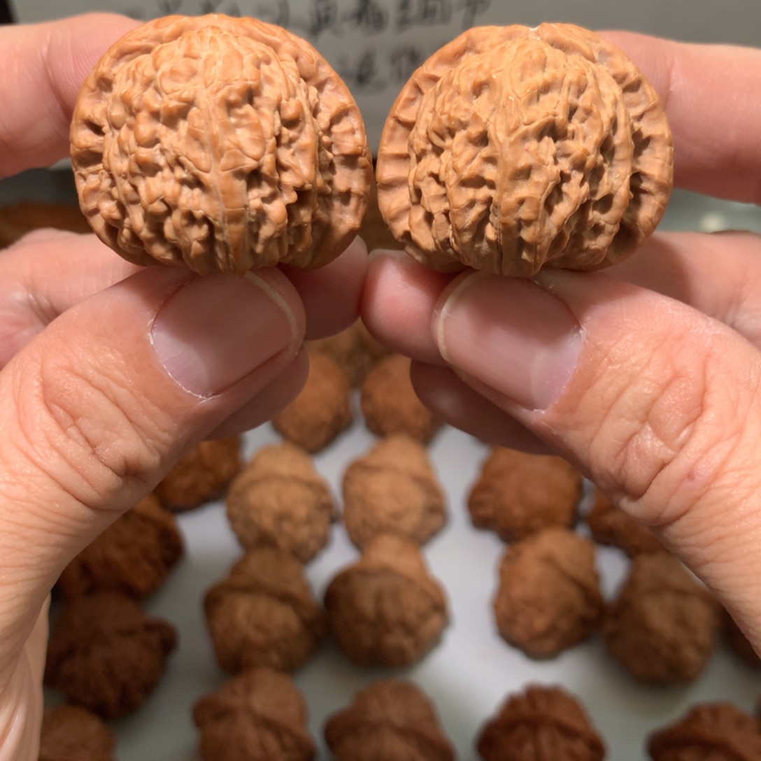 把件文玩核桃白狮子手捻开播福利