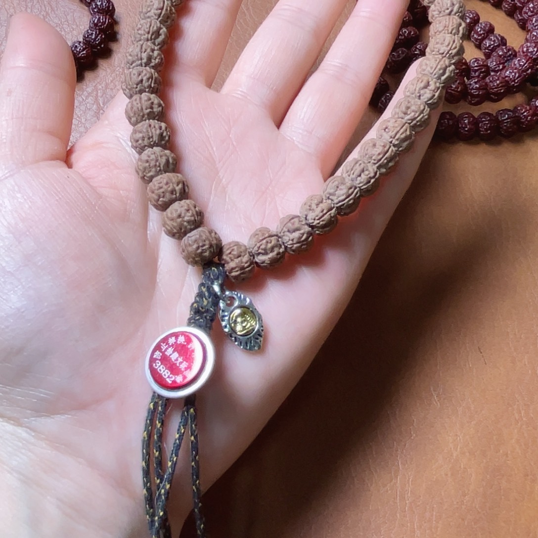 菠***蜜菩提老树王手持111111