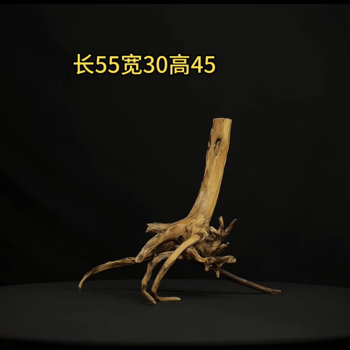 张大狼造景沉木长55cm树桩多枝 南美鱼缸造景 紫柚木秒沉