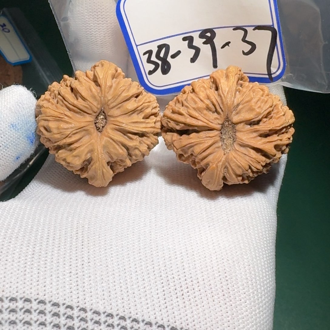 文玩核桃把件51号太极黄金甲凹底