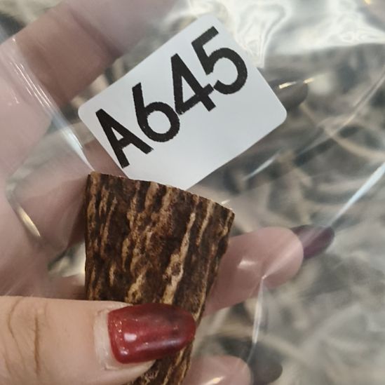 我***呀鹿角鹿角鹿角鹿角鹿角