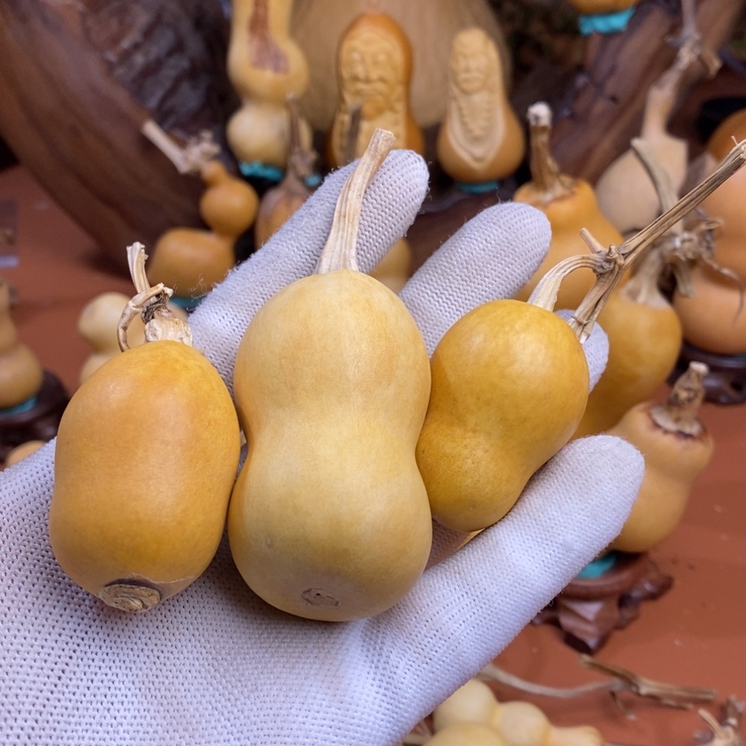 邪***滋距离考虑考虑考虑