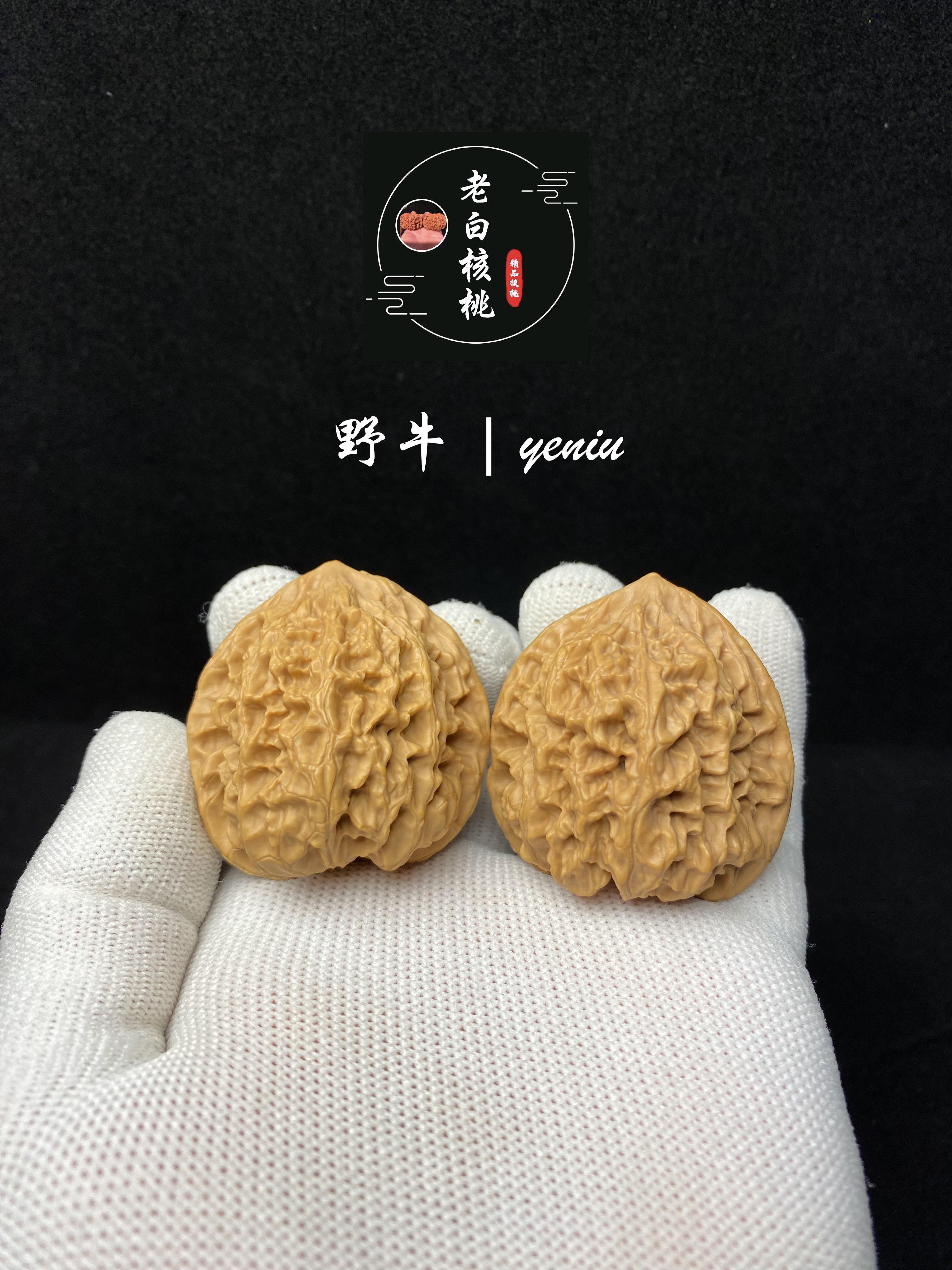 涞水老白核桃：野牛，涞水直发文玩核桃产地特色盘玩手把件