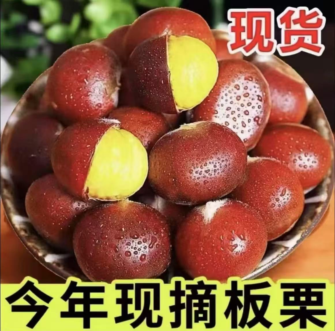 高山新鲜高山老树板栗精选大果香甜精品