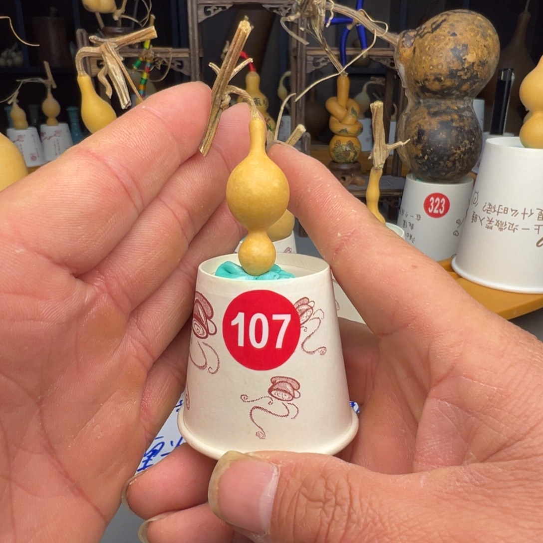 闪电购自助下单编号107